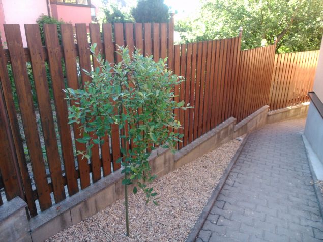 Spolubydlení 
