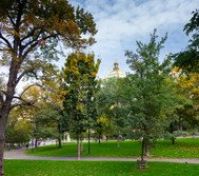 Pronájem bytu Praha