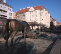 Pronájem bytu Praha