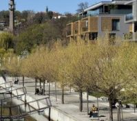 Riverside promenade neighborhood view