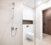 Bathroom shower and toilet area