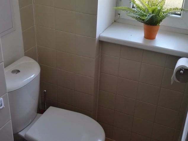 Spolubydlení 