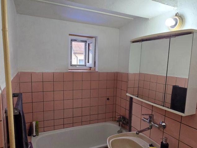 Pronájem domu Tursko