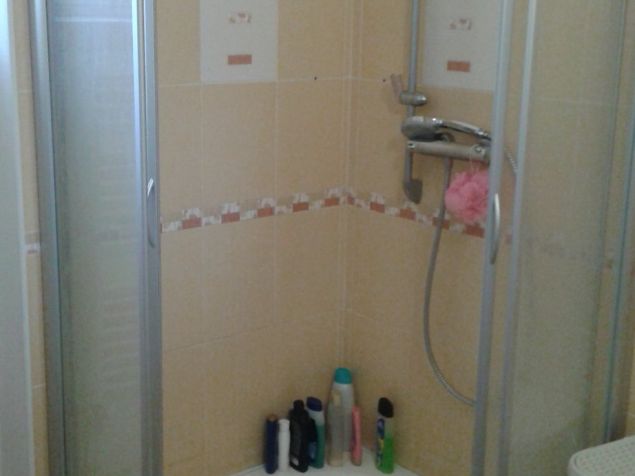 Spolubydlení Plzeň