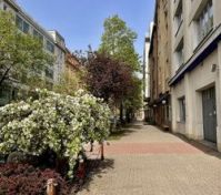 Tree lined street neighborhood exterior