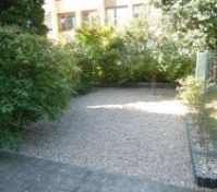 Garden / zahrada